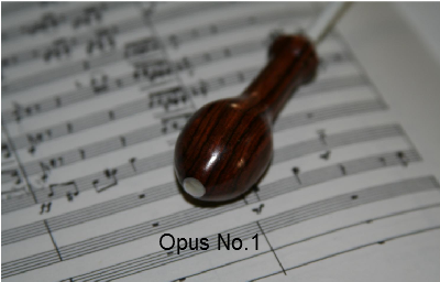conducting batons opus no 1